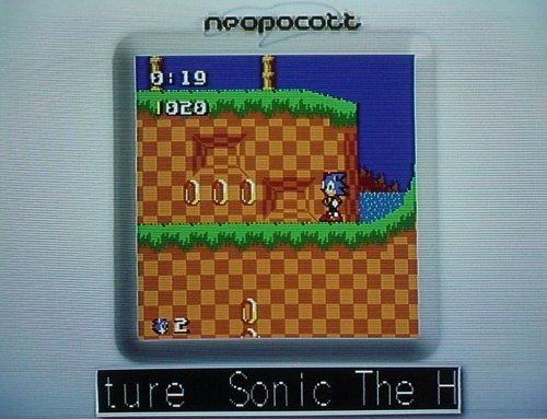 Sonic the Hedgehog - In Game